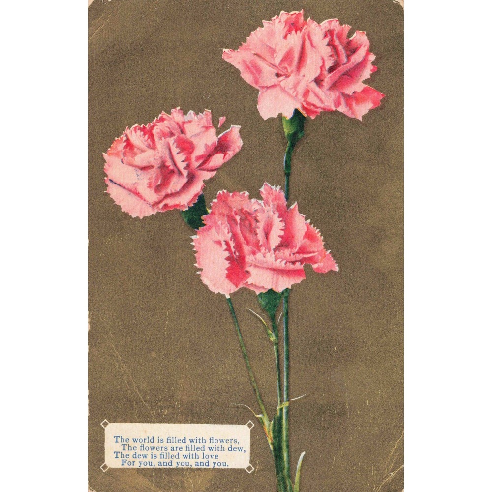 Pink Carnations Flowers Poem 1909 Evansville New York NY Antique Postcard Posted - Picture 1 of 2